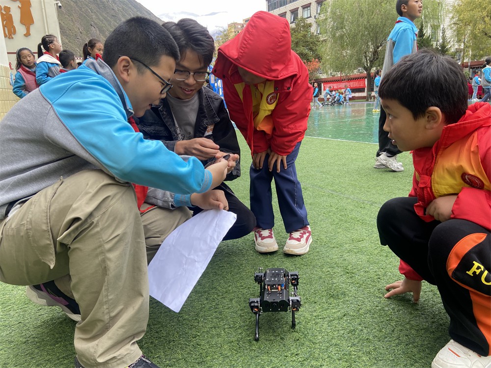 图片11.jpg 图片11.jpg